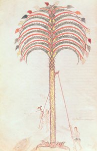 Fol.147vジローナビータスのヤシの木の比喩 作： Spanish School